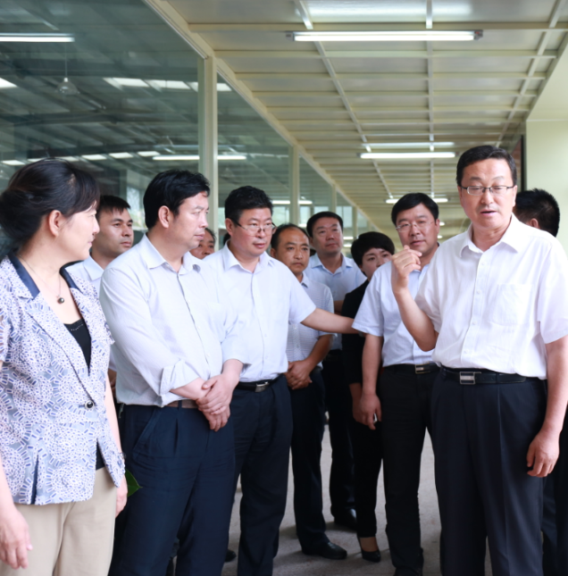 领导现场指导工作